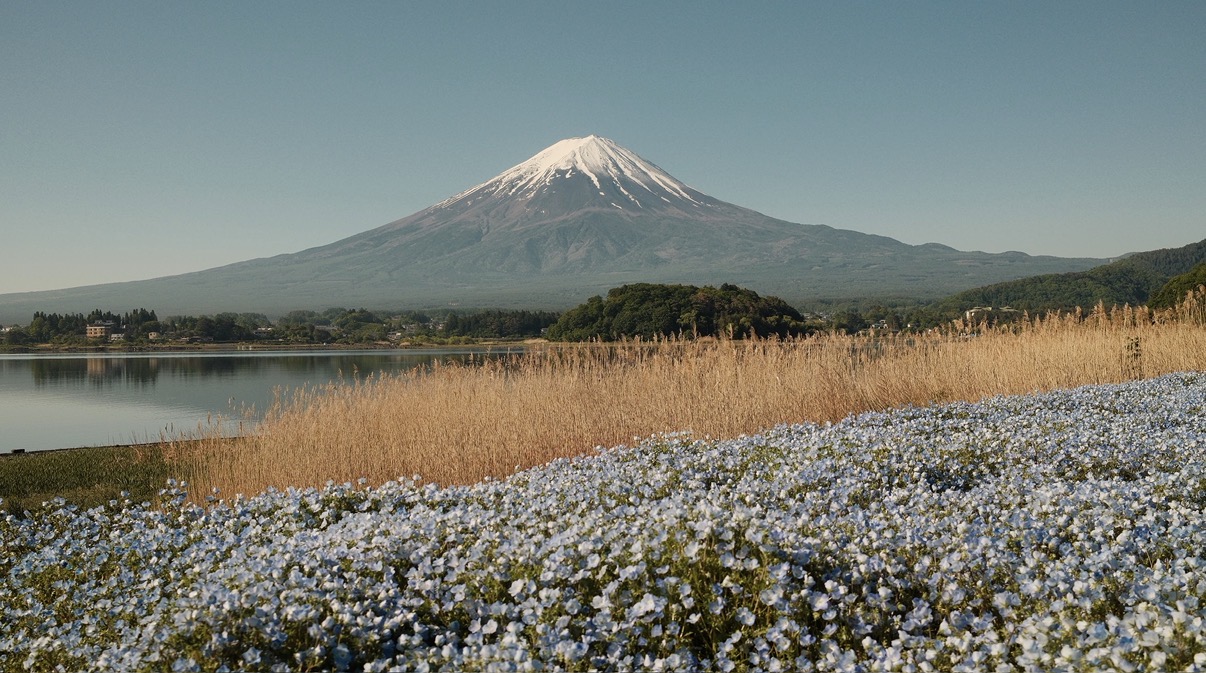 Japan