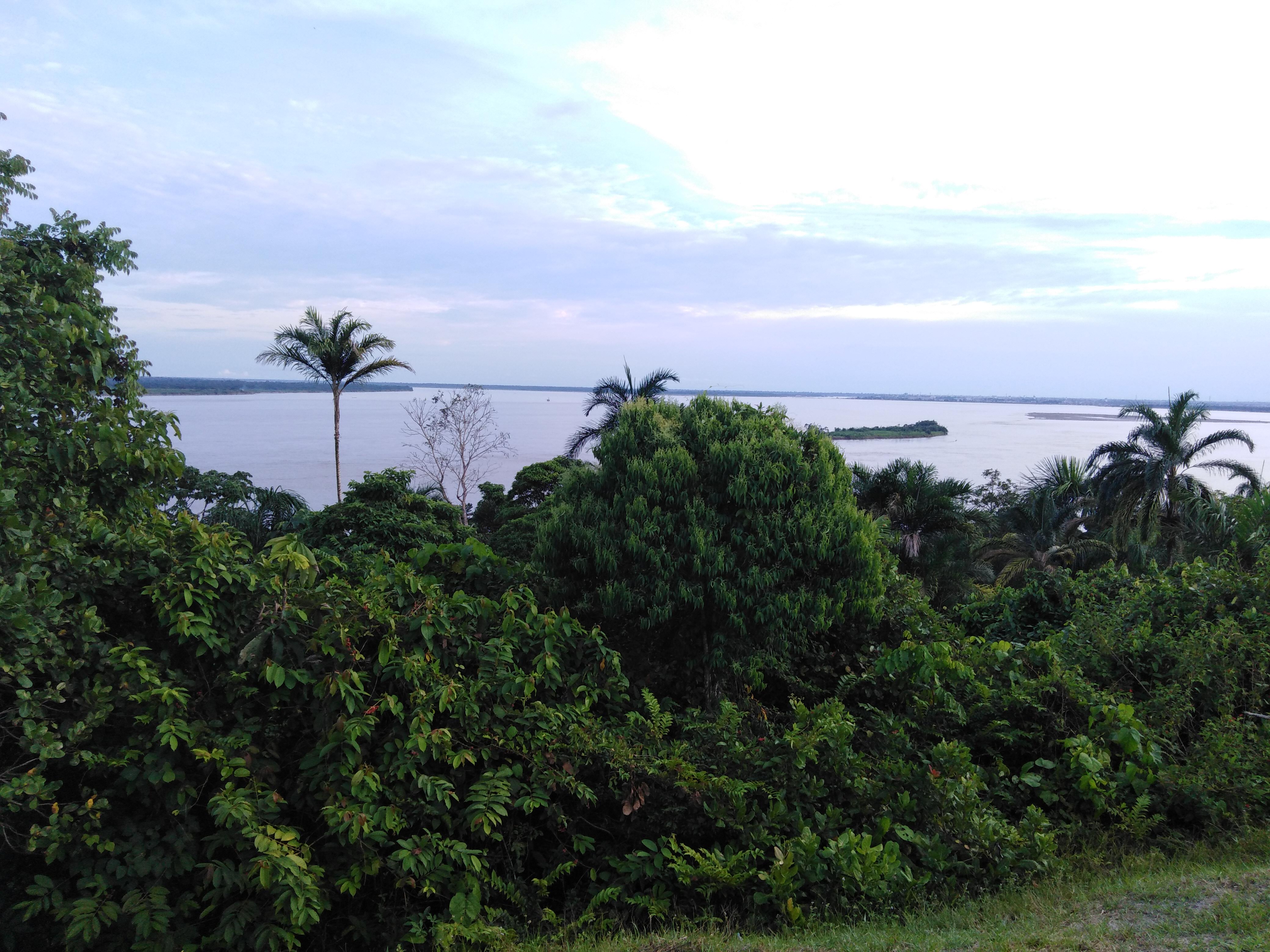 Amazon, South America